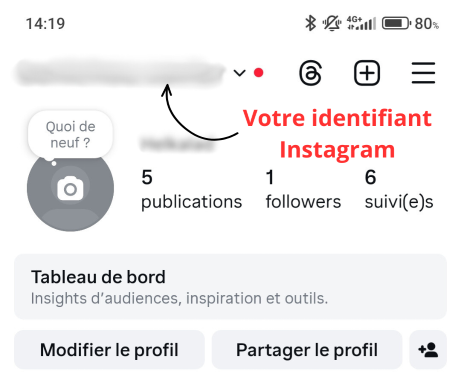 Instagram - pseudo.png