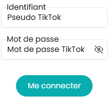 TikTok fields.png